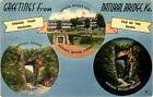 Natural Bridge, Virginia, Niagara Falls, geological formation, Seven Postcard