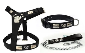 Leather staffy staffordshire dog harness,collar & chain lead chrome knot set - Picture 1 of 5
