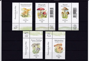 Österreich ab 2021 - 5 Werte der Serie "Österreichische Pilze" ** Eckrandmarken - Picture 1 of 1