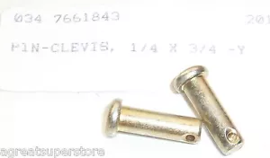 POLARIS PURE OEM NOS SNOWMOBILE CLEVIS PINS TWO (2) 7661843 - Foto 1 di 2