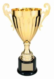 13" Lg Cup Gold Metal Trophy Not Engraved Blank Trophy For all Event & Awards - Picture 1 of 1