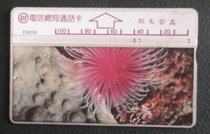 TAIWÁN - Tarjeta telefónica submarina ITA (D4054), ¡usada!!! - Imagen 1 de 2