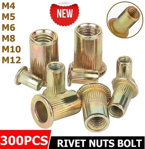 300PC Rivet Nut Nutsert Assortment Tool Thread Insert Set Kit M3 M4 M5 M6 M8 M10 - Picture 1 of 12