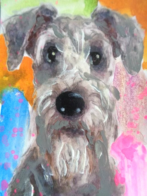 ACEO - SCHNAUZER 狗艺术 * * 限时出售! 在消失之前抓住它 — 第 1/1 张图片