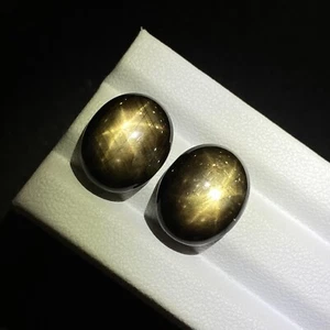 24.42CT Superb 2 pcs Golden 6-Ray Black Star Sapphire Cabochon Untreated Gem - Picture 1 of 9