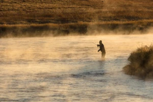 Fall Fishing on the Madison River at Sunrise, Yellowstone NP Giclee Art Print - Picture 1 of 3