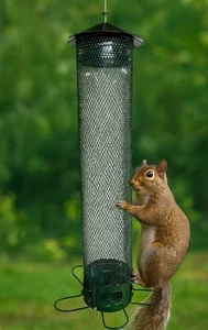 Metall Eichhörnchenfest Vogelfutterhaus mit Kardinalring 4,0 Pfund Kapazität NEU  - Bild 1 von 9