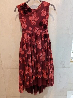 Vestido Enagua Joyfilm Mia Joy Rojo Floral Tul Niñas Talla 7 Foto 1 de 4