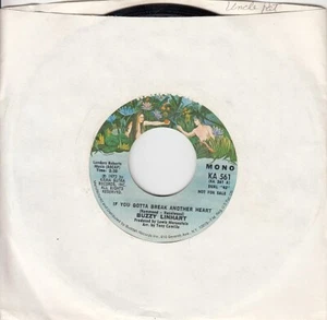 Buzzy Linhart – If You Gotta Break Another Heart (Mono/Stereo) 7" Promotional 45 - Picture 1 of 24