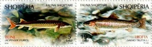 Estampillas de Albania 2018. Fauna: pescado. Acipenser Sturio; Salmo L. Set montado sin montar o nunca montado - Imagen 1 de 1