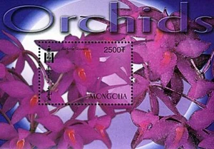 π MONGOLIA 2004 Tropical ORCHIDS/ FLOWERS S/S MNH - Picture 1 of 1