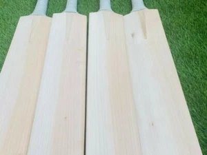 Mazza da cricket di salice inglese semplice con copertura gratuita per pipistrello e foglio per graffi gratis - Foto 1 di 5