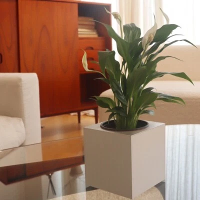 Handmade Eco-Friendly Self-Watering Aluminum Pot - 100% Recyclable Wick System - Image 1 of 4