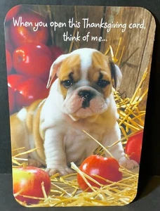 Vintage Zarte Gedanken Erntedankkarte Bulldogge Welpe Strohhalm & Äpfel - Bild 1 von 3