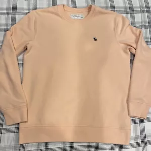 Abercrombie& Fitch Pullover Sweatshirt Mens Small Peach Soft Fleece Relaxed Crew - Picture 1 of 12