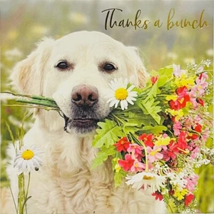 Cane Labrador con Mazzo di Fiori Grazie Un Mazzo - Confezione da 5 Biglietti Grazie - Foto 1 di 1