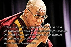 14TH DALAI LAMA tenzin gyatso INSPIRATIONAL QUOTE POSTER 20x30 kindness - Picture 1 of 1