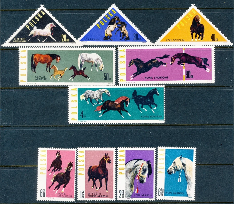 波兰 1963 年抛光马饲料套装 SCT 1188-1197 — 第 1/1 张图片