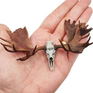 Moose Skull Miniature 1:12 Scale Replica dollhouse diorama decoration (1 Skull) - Picture 1 of 7
