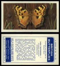 Large Tortoiseshell #21 British Butterflies 1963 Brooke Bond Tea Card