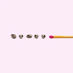 Cat Skull Replica - 1:24 scale diorama miniature dollhouse model (set of 5) - Picture 1 of 5