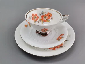 Seltmann Weiden Porzellan Sammeltasse Unterteller Teller floral Muster Goldrand - Bild 1 von 17