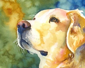 High Resolution Print of Original Fine Art Watercolor by Ron Krajewski - Picture 1 of 4