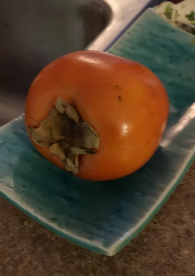 PERSIMMON still life fruit picture photo virtual postcard #052J3D Helena Baru - Image 1 of 1