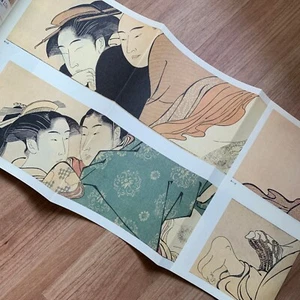 Shunga Ukiyo-e 48 painter Japan Illustration Book 191 Page Hokusai Katsushika - Imagen 1 de 24