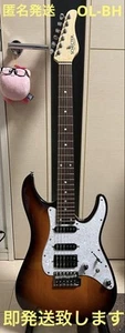 SCHECTER OL-BH UBB Sichere Verpackung! - Bild 1 von 14