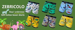 Boys Boxer Briefs - Cotton Boys Underwear 6PCS Random Prints - Picture 1 of 10