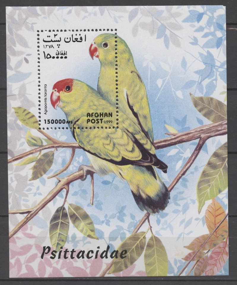 号:116968 - 阿富汗 - "鸟/PSITTACIDAE" - 旧块 - 全新无标签!! — 第 1/1 张图片