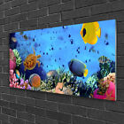 Tableau sur Plexiglas® Image Impression 100x50 Nature Récif De Corail