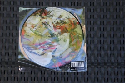 Band Of Skulls ‎– The Devil Takes Care Of His Own   picture disk 7" new  - Image 1 of 2