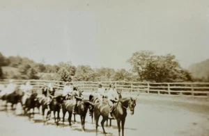 Gruppo di ragazze a cavallo foto in bianco e nero 3,25 x 4,5 - Foto 1 di 3