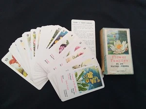 FLOWER FAMILIES NO. 278 PIATNIK VIENNA BOTANICAL INFO CARDS AUSTRIA VINTAGE GAME - Picture 1 of 14