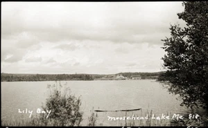 EARLY 1900s POSTCARD FILM NEGATIVE, "LILY BAY, MOOSEHEAD LAKE, GREENVILLE ME" - Picture 1 of 1