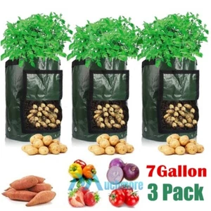 3Pack 7 Gallon Grow Bags NonWoven Pots Garden Vegetable Planting Bags for Potato - Picture 1 of 17