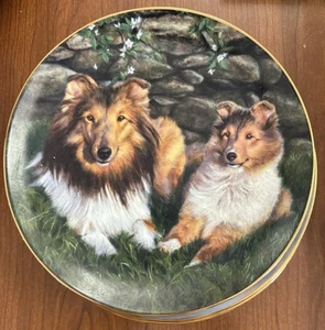 Set mit acht Shetland Sheepdogs Danbury Mint Sammeltellern von Edward Aldrich - Bild 1 von 8