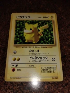 Pokemon JAPANESE Ivy Pikachu How To Play PROMO NON Glossy RARE Card VG+ No. 025 - Picture 1 of 4