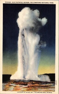 Old Faithful Geyser Yellowstone National Park Linen Postcard - Picture 1 of 2