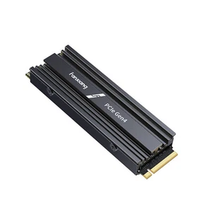 Fanxiang 2TB M.2 SSD Festplatte NVMe PCIe Gen4 SSD für PS5 7300MB/s mit Heatsink - Bild 1 von 9