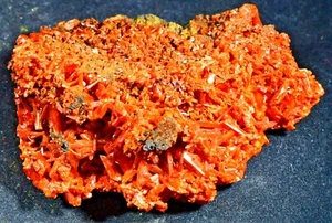 SUPERB CROCOITE, 6.5 X 5 X 3.5 CM, ADELAIDE MINE, DUNDAS, TASMANIA, AUSTRALIA - Picture 1 of 3