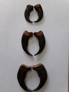 REDUCED PRICE RESIN BEAR CLAWS two sizes crafts necklaces Boy Scouts small large - Picture 1 of 14