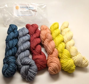 Sunshine Yarns March Gradient Kit Handdyed Set 6x75yd hanks Merino Sport - Picture 1 of 2