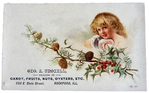 vICTORIAN TRADE CARD ADVERTISING TROXELL CANDY FRUIT OYSTER\S ILLINOIS neocurio - Picture 1 of 4