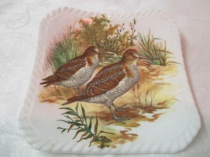 Vintage England Royal Adderley square Coaster ADD102 2 long bill Game Birds - Picture 1 of 3