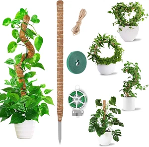 Moosstab, 120 Cm Moosstab Für Monstera, Rankhilfe Monstera, Pflanzenstütze,  - Bild 1 von 12