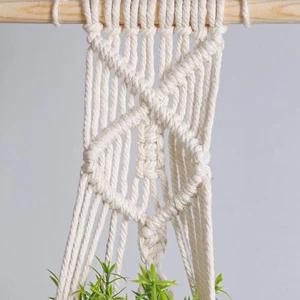 Macrame Tassels Hand Woven Hanging Planter for Apartment - Picture 1 of 7