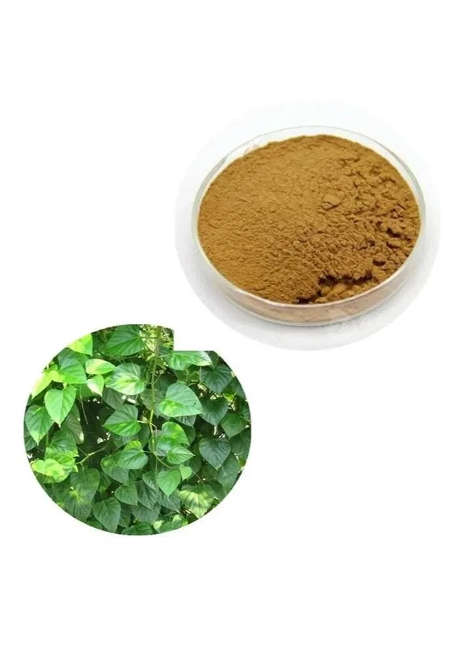 Cissus Quadrangularis 20:1 Extract Powder Good Quality 10000 Gram - Image 1 of 1